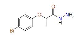 2-(4-Bromophenoxy)propionic acid hydrazide